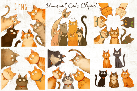 Download Funny Unusual Cats Clipart Png - Cat Collection